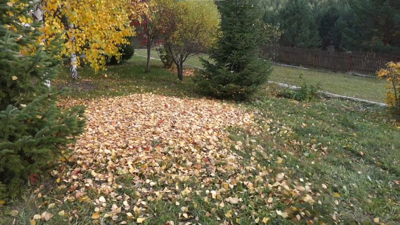 https://volgograd.mslandshaft.ru/storage/app/uploads/public/642/ac5/f22/642ac5f2293e2935715739.jpg